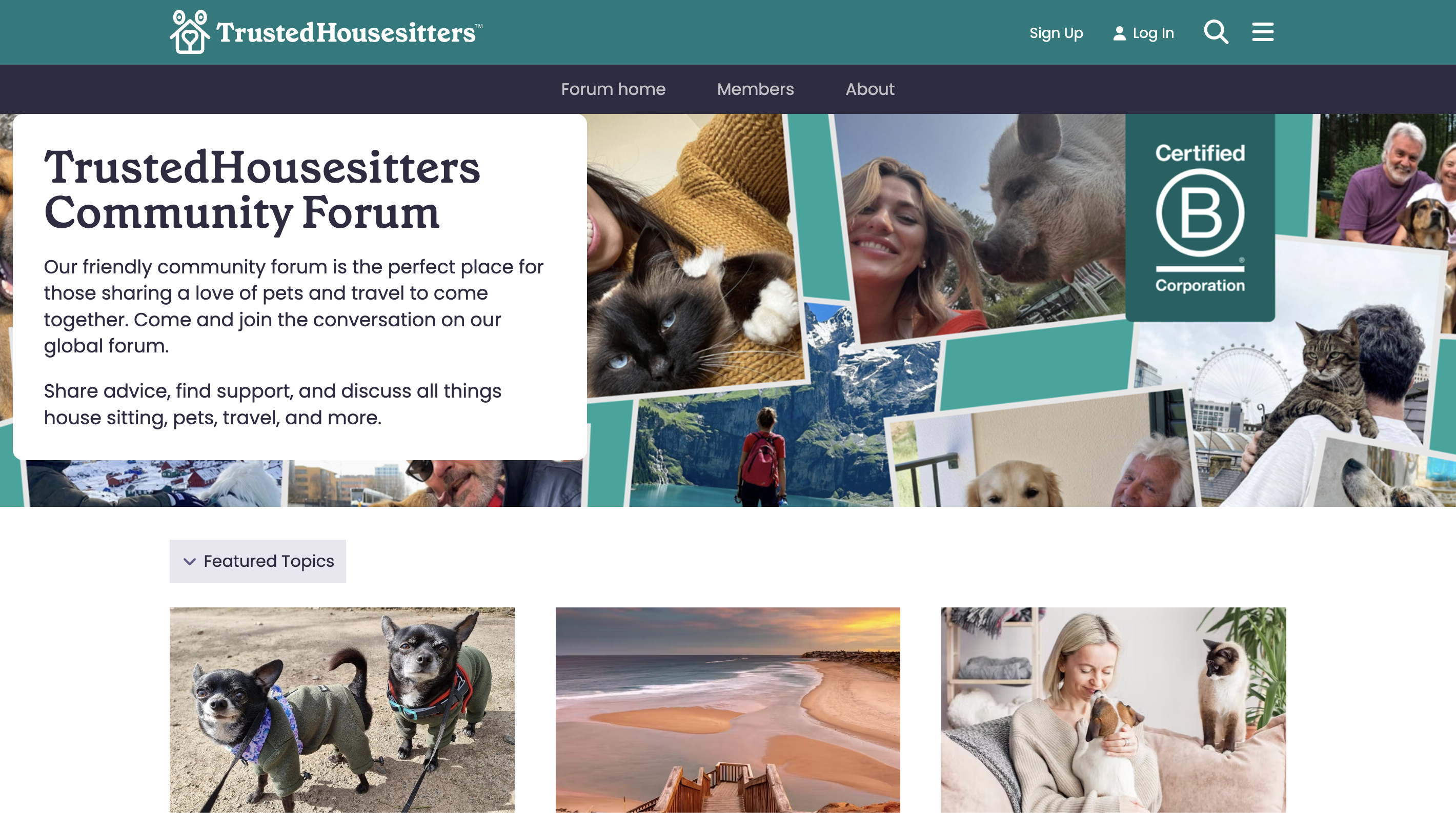 Trusted Housesitters community forum screenshot